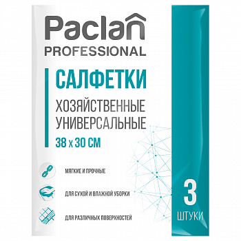 Салфетки для уборки Paclan "Professional", набор 3шт., вискоза, 38*30см 410013