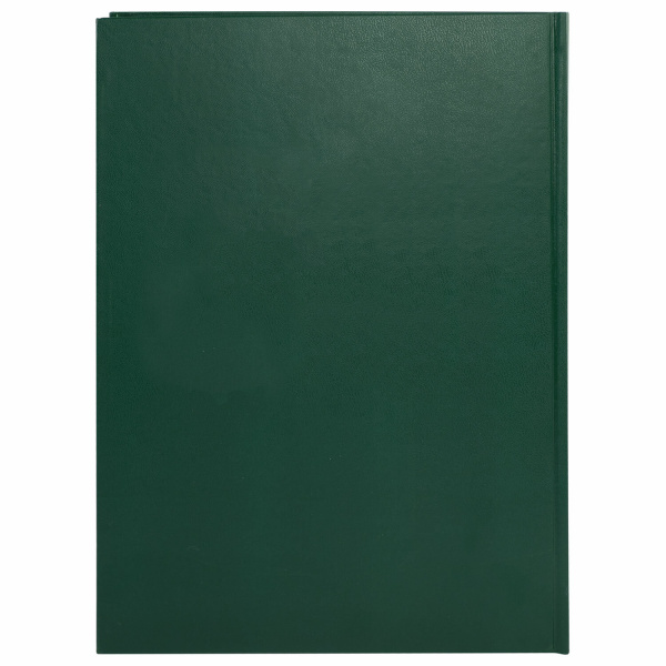 Книга учета 96 л., клетка, твердая, бумвинил, офсет, герб, А4 (200х290 мм), BRAUBERG, зеленая, 130277 Ракурс № 3