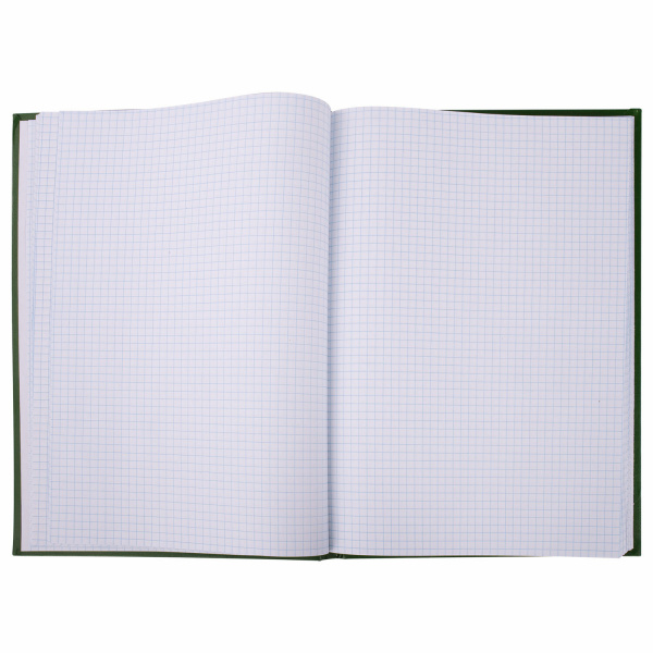 Книга учета 96 л., клетка, твердая, бумвинил, офсет, герб, А4 (200х290 мм), BRAUBERG, зеленая, 130277 Ракурс № 2