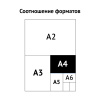 Папка архивная с жесткими клапанами OfficeSpace, покрытие БВ, с 4 завязками, ширина корешка 50мм, ассорти Ракурс № 4